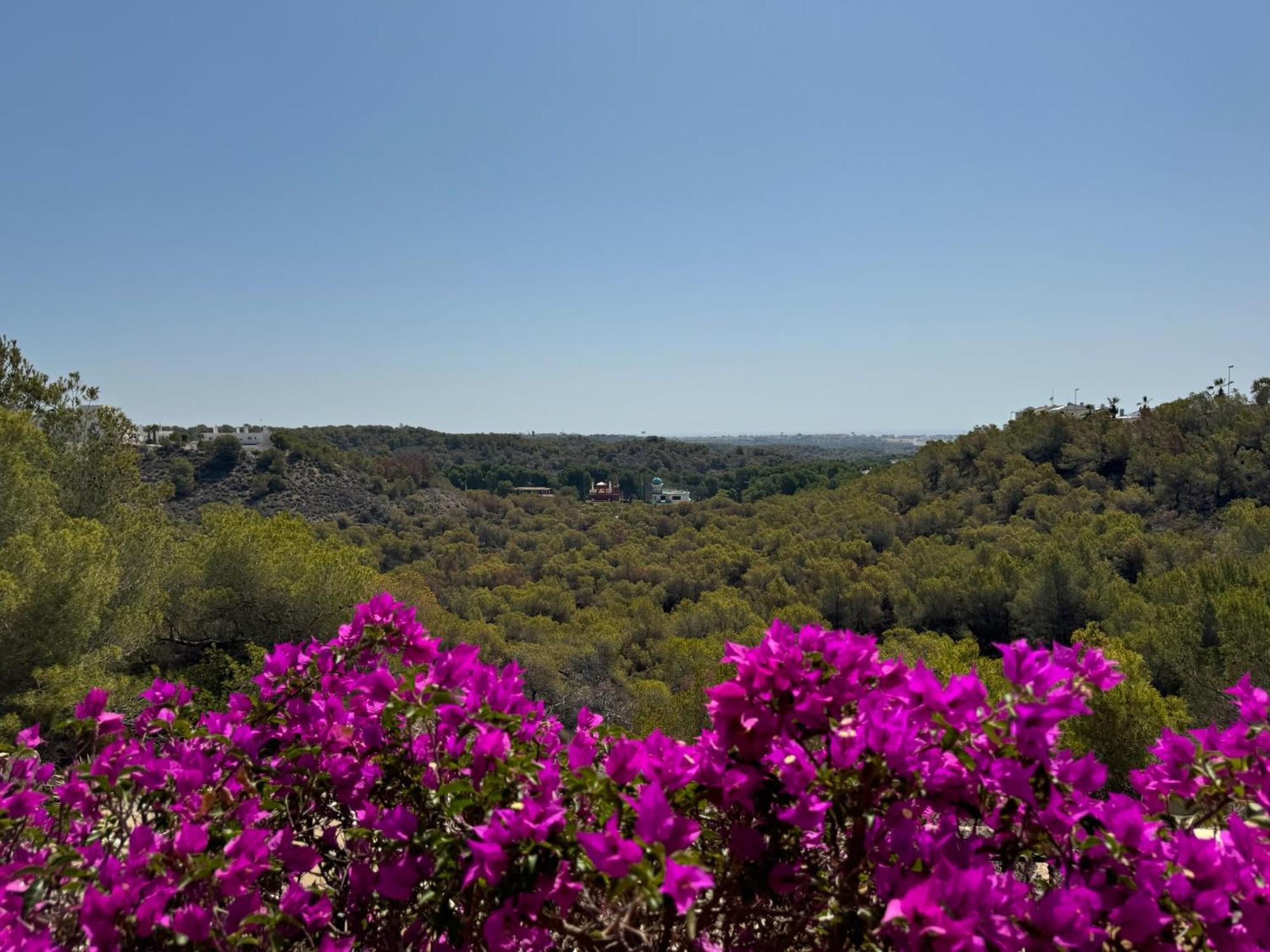Orihuela - Las Ramblas - Casa Pino Dehesa de Campoamor  Buitenkant foto